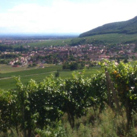Gites & Chambes D'Hotes Fugler Orschwihr Exterior foto
