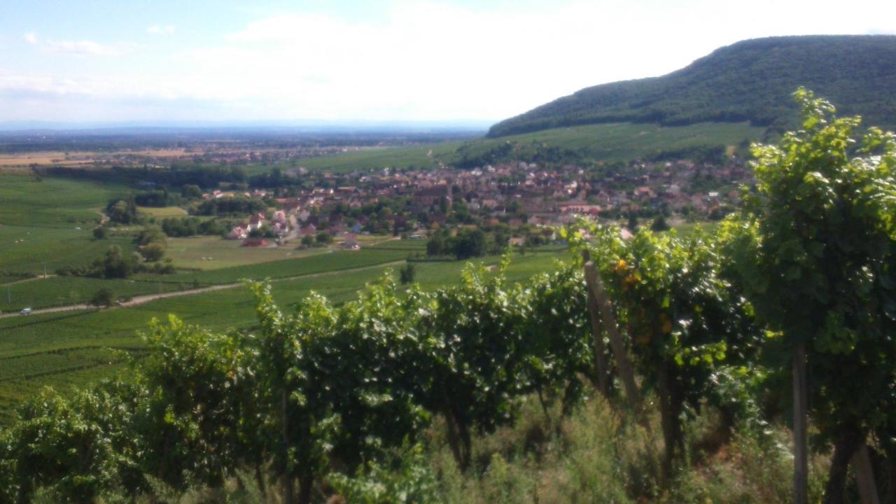 Gites & Chambes D'Hotes Fugler Orschwihr Exterior foto