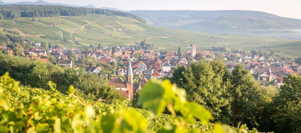 Gites & Chambes D'Hotes Fugler Orschwihr Exterior foto